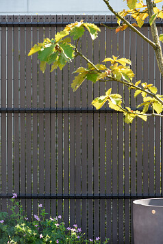 DFPR Wenge Brown